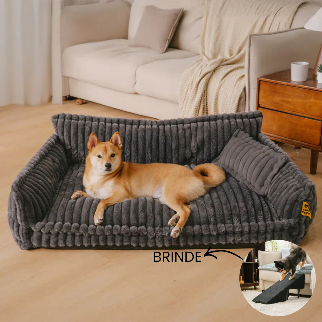 Cama Sofá Pet Ortopédico - O seu pet também merece uma cama ortopédica + Rampa de Brinde