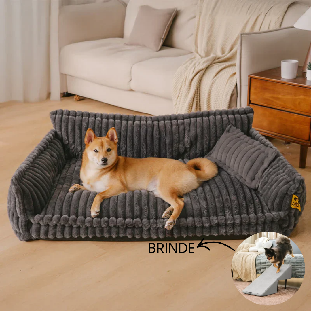 Cama Sofá Pet Ortopédico - O seu pet também merece uma cama ortopédica + Rampa de Brinde