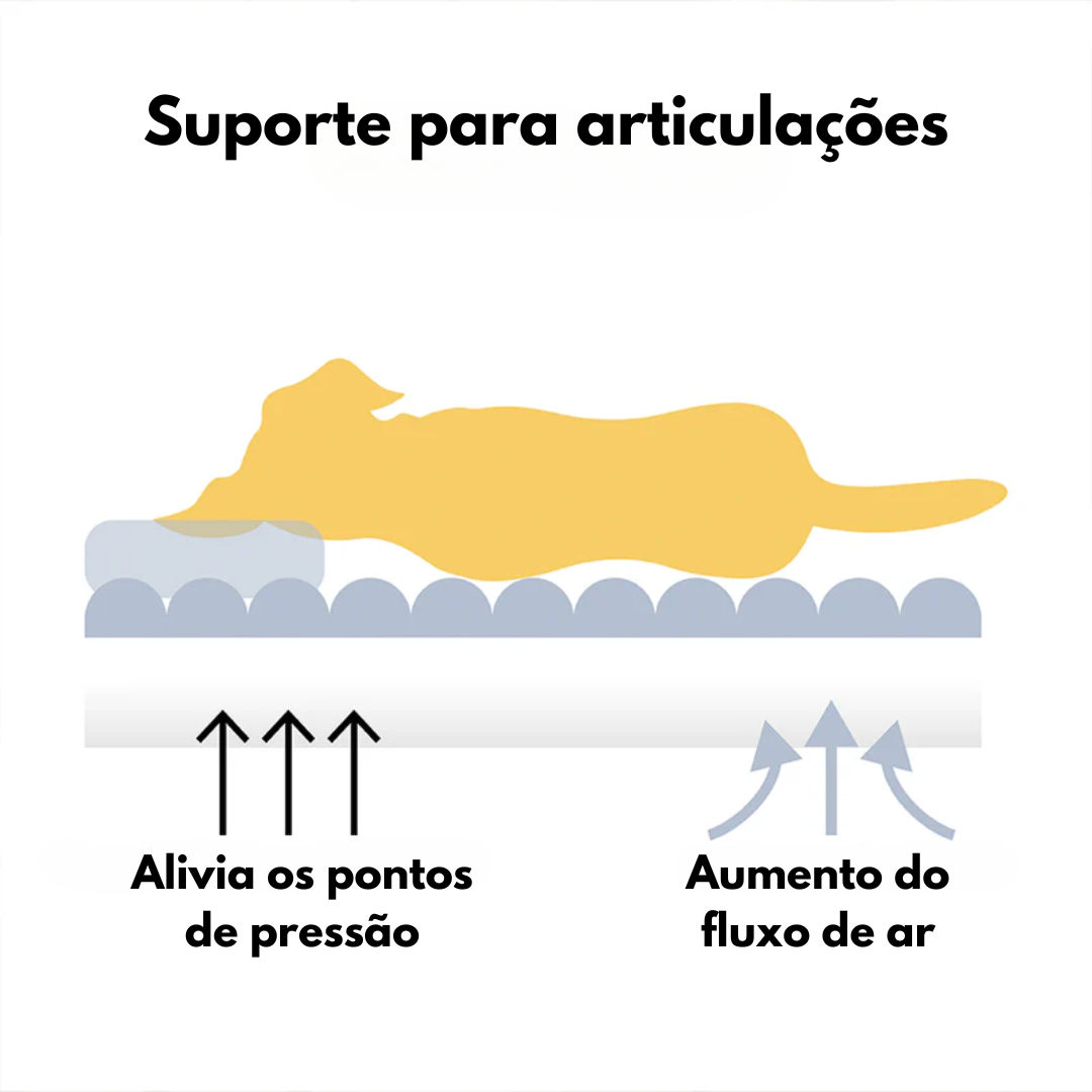 Cama Sofá Pet Ortopédico - O seu pet também merece uma cama ortopédica + Rampa de Brinde